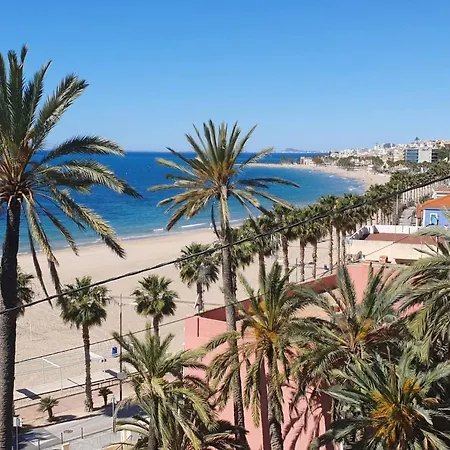 Fénix * Villajoyosa